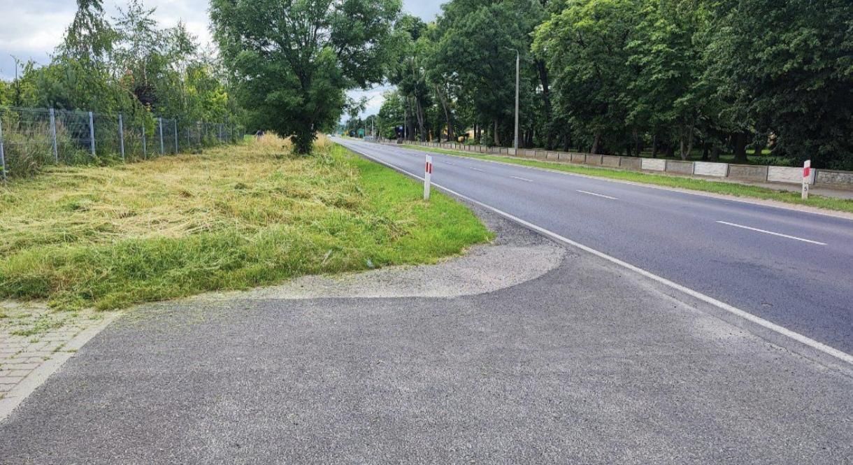 Działka inwestycyjna Frydrychowo. Zdjęcie 4