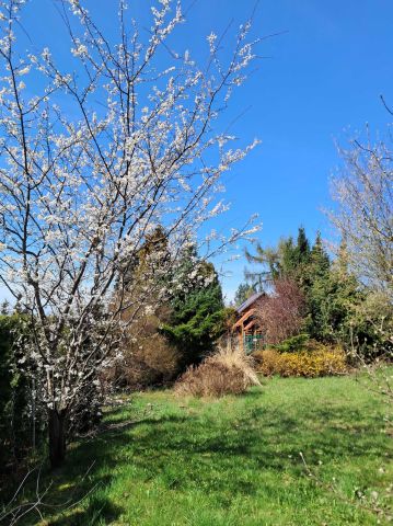 Działka rekreacyjna Zabrze. Zdjęcie 1