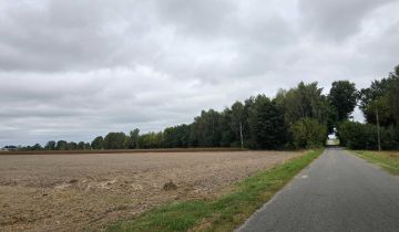 Działka budowlana Czemierniki