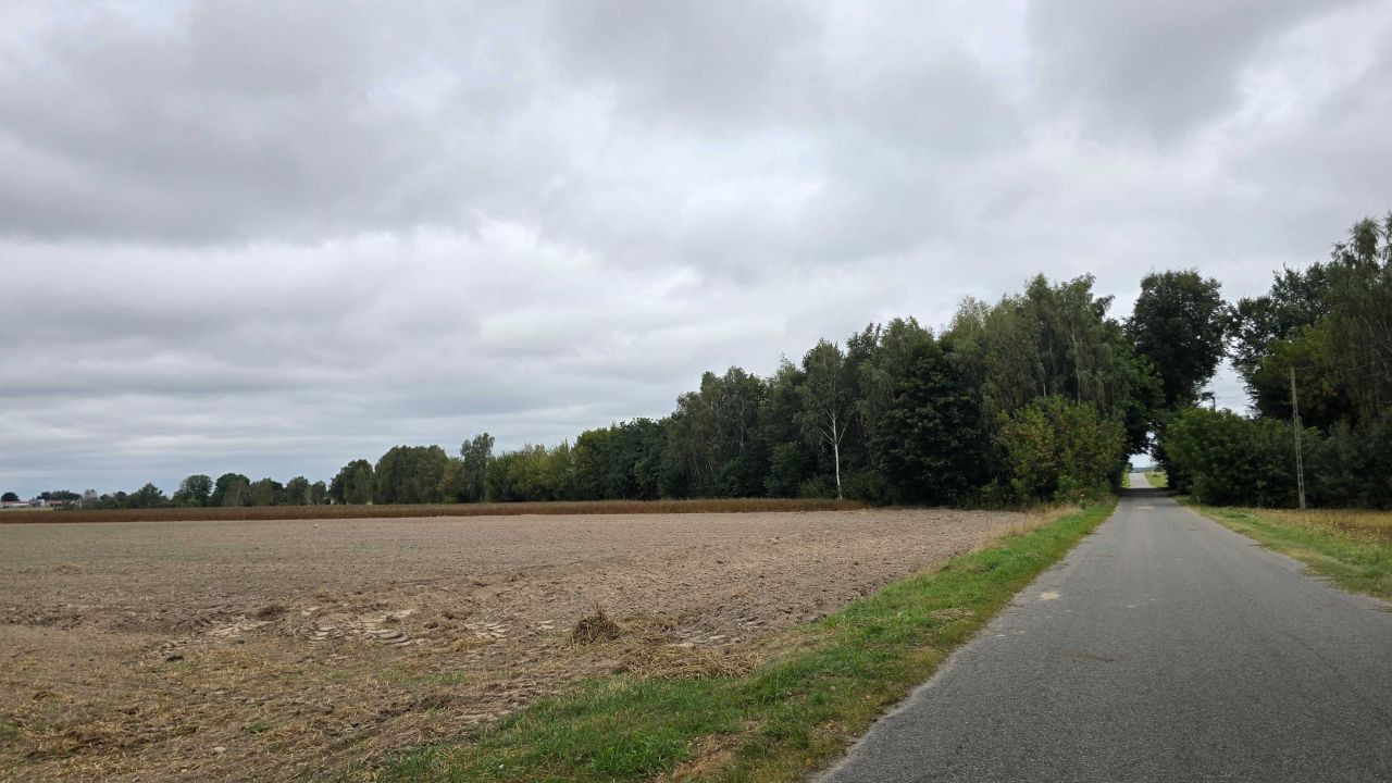 Działka budowlana Czemierniki. Zdjęcie 2