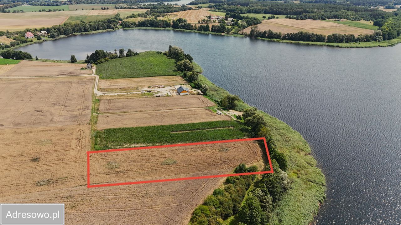 Działka rolna Chrzypsko Wielkie. Zdjęcie 4