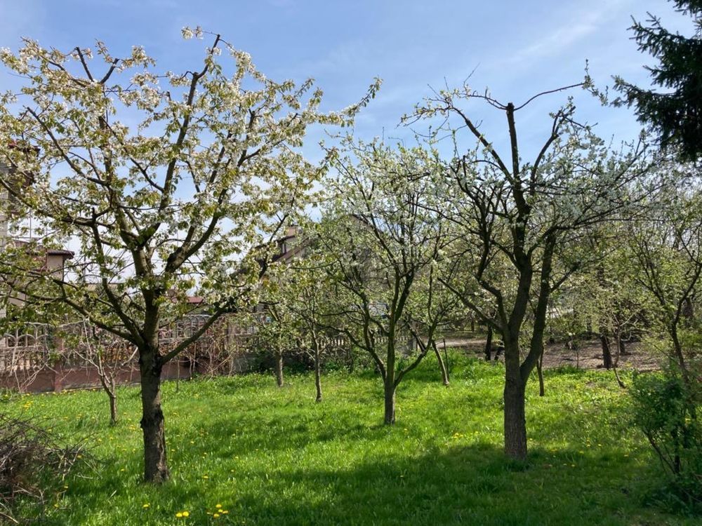 dom wolnostojący Zwoleń. Zdjęcie 3