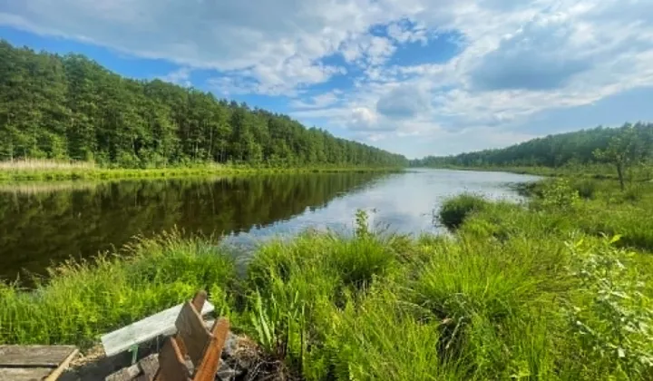 dom wolnostojący, 4 pokoje Jaśkowo