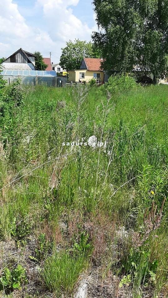 Działka budowlana Borek Szlachecki, ul. Długa