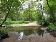 Działka leśna Ponikła. Zdjęcie 4