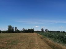 Działka rolno-budowlana Brzozówka. Zdjęcie 3