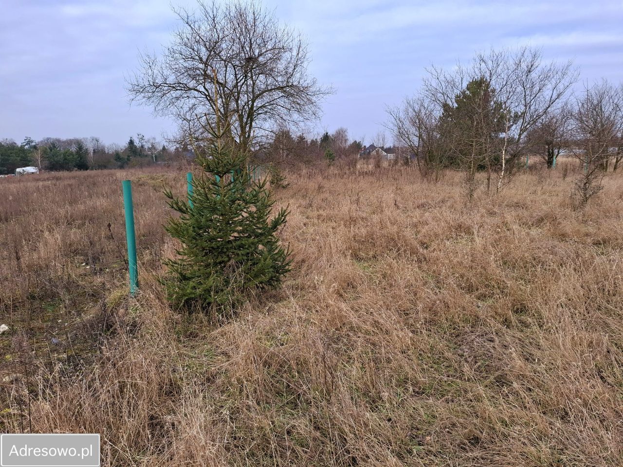 Działka budowlana Pniewy, ul. Wroniecka. Zdjęcie 9