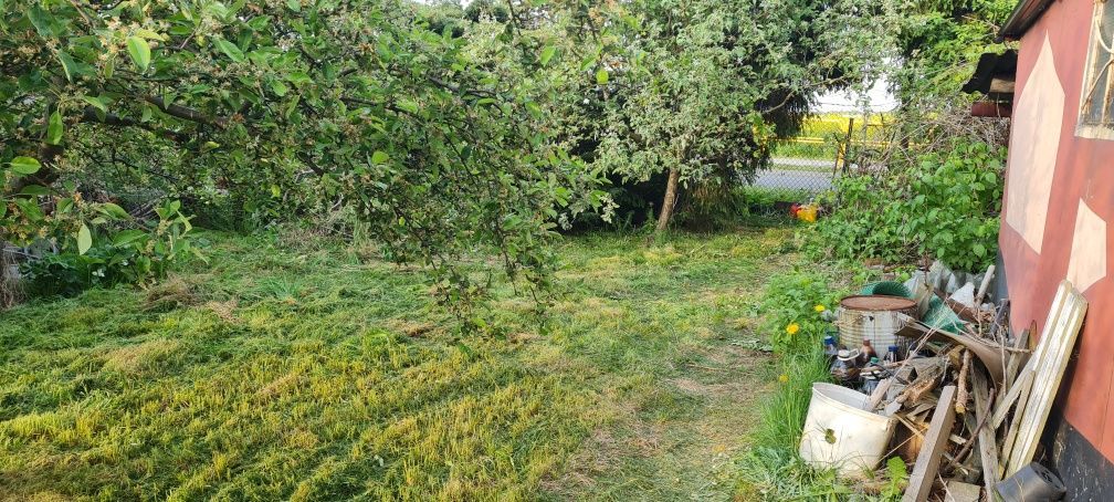 Działka rod Pszów. Zdjęcie 2