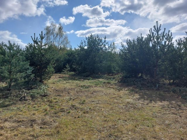 Działka budowlana Krzyżówka, ul. Wiejska. Zdjęcie 1