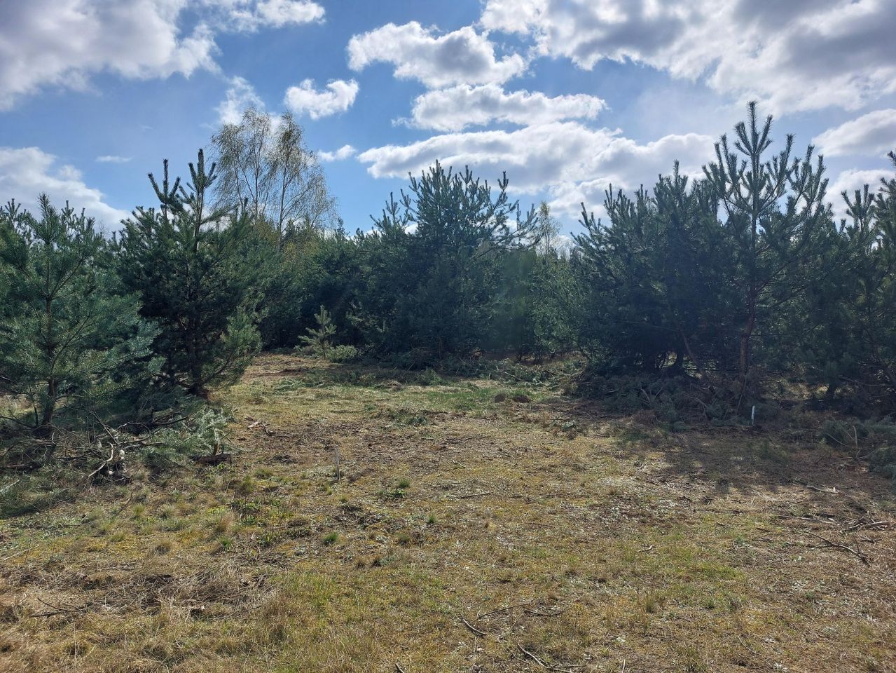 Działka budowlana Krzyżówka, ul. Wiejska