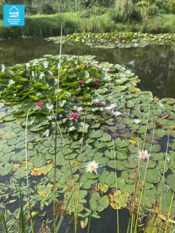 Działka budowlana Milwino, ul. Północna. Zdjęcie 6