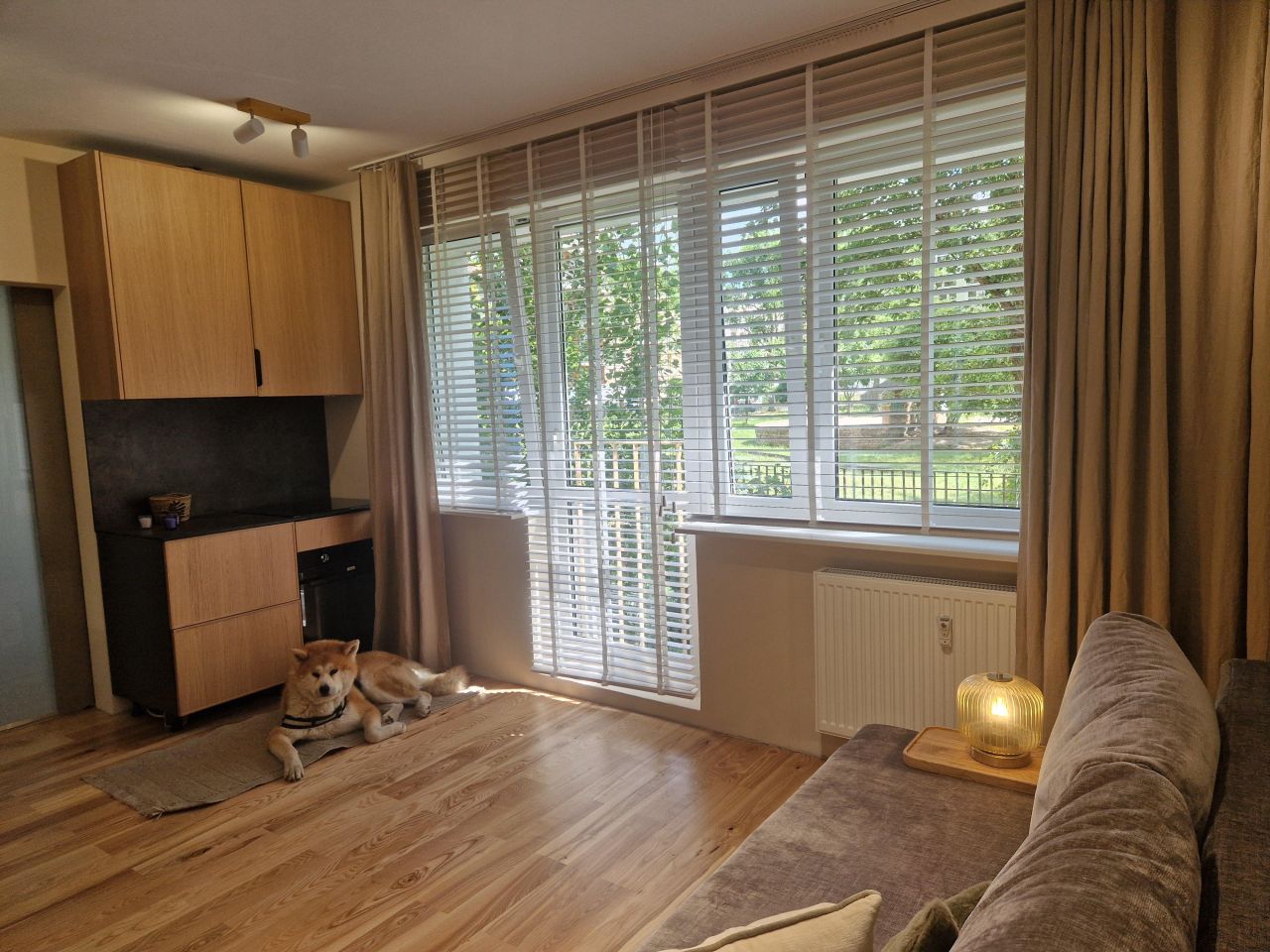 Mieszkanie 2-pokojowe Szczecin Centrum, ul. 1 Maja. Zdjęcie 19