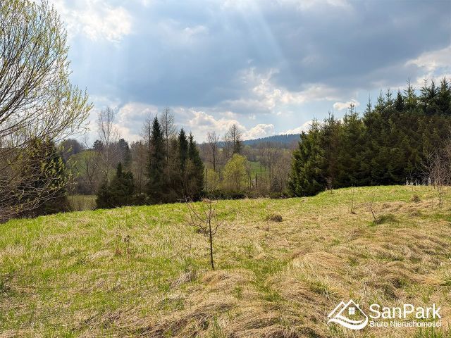 Działka rolna Hoszowczyk. Zdjęcie 3