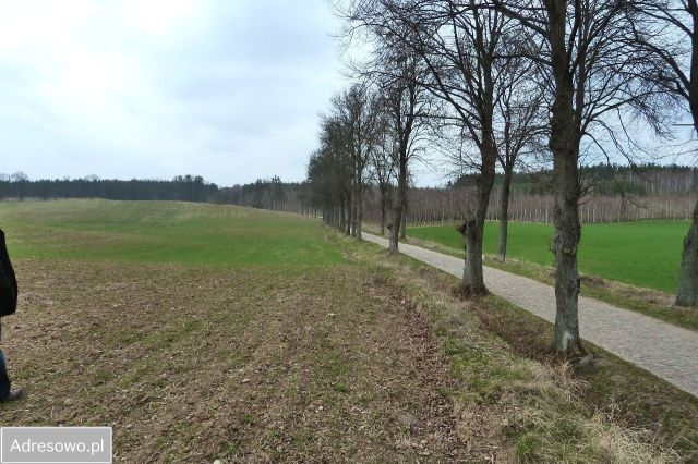 Działka budowlana Orło. Zdjęcie 1