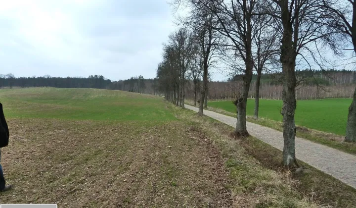 Działka budowlana Orło