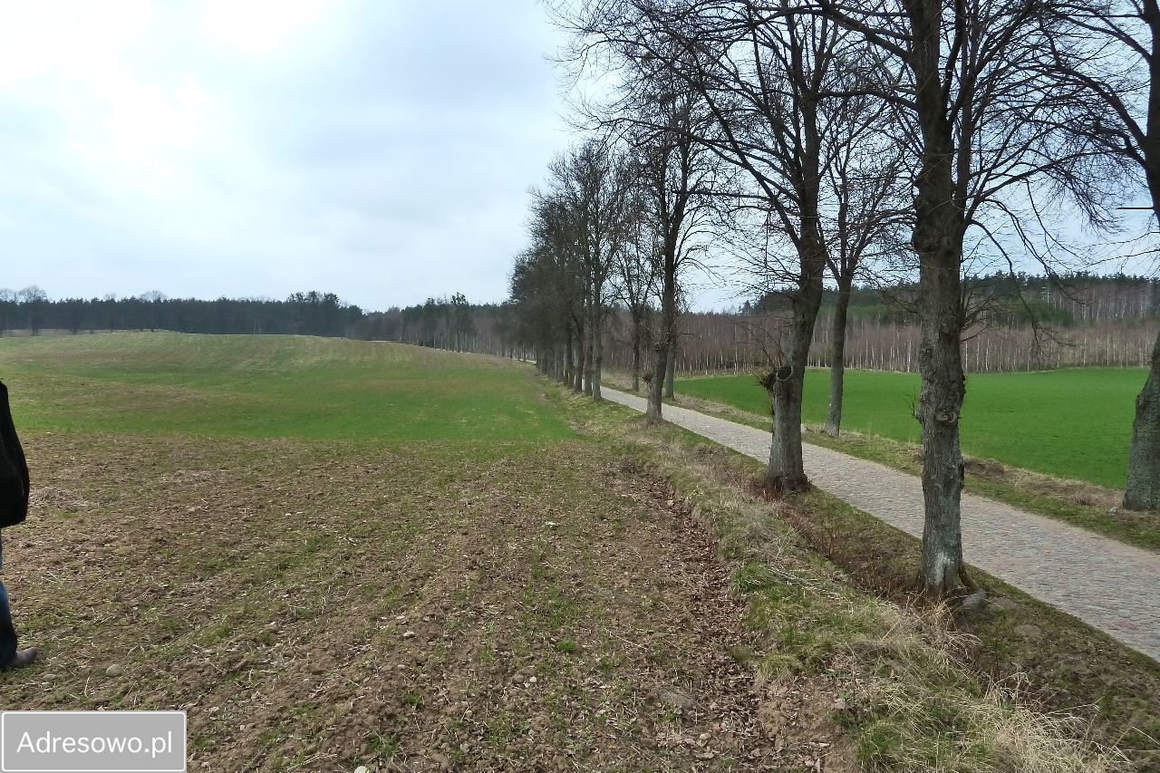 Działka budowlana Orło. Zdjęcie 1