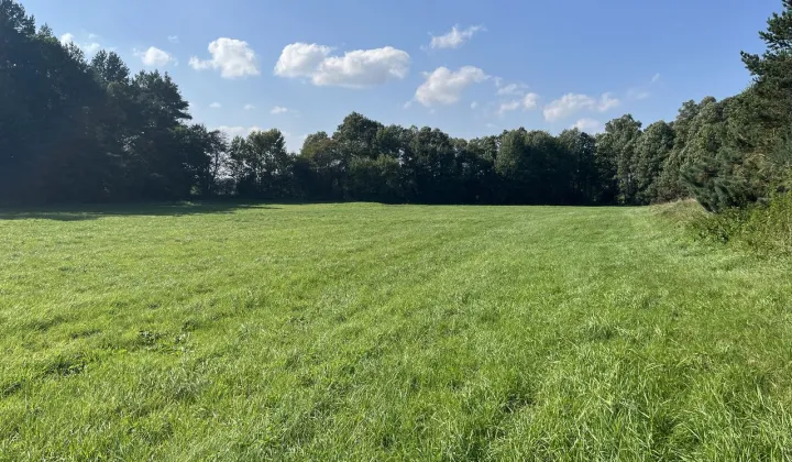 Działka rolna Orle, ul. Łąkowa