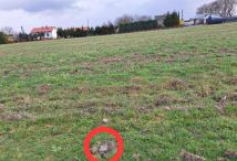 Działka rolna Ruszcza-Płaszczyzna. Zdjęcie 1