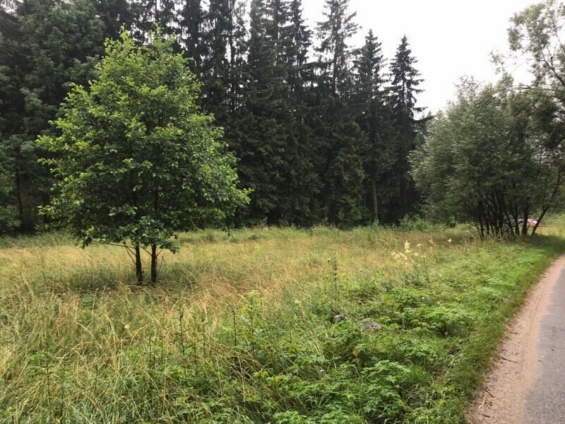 Działka budowlana Kulin Kłodzki. Zdjęcie 1