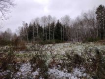 Działka rolna Ciemnik. Zdjęcie 2