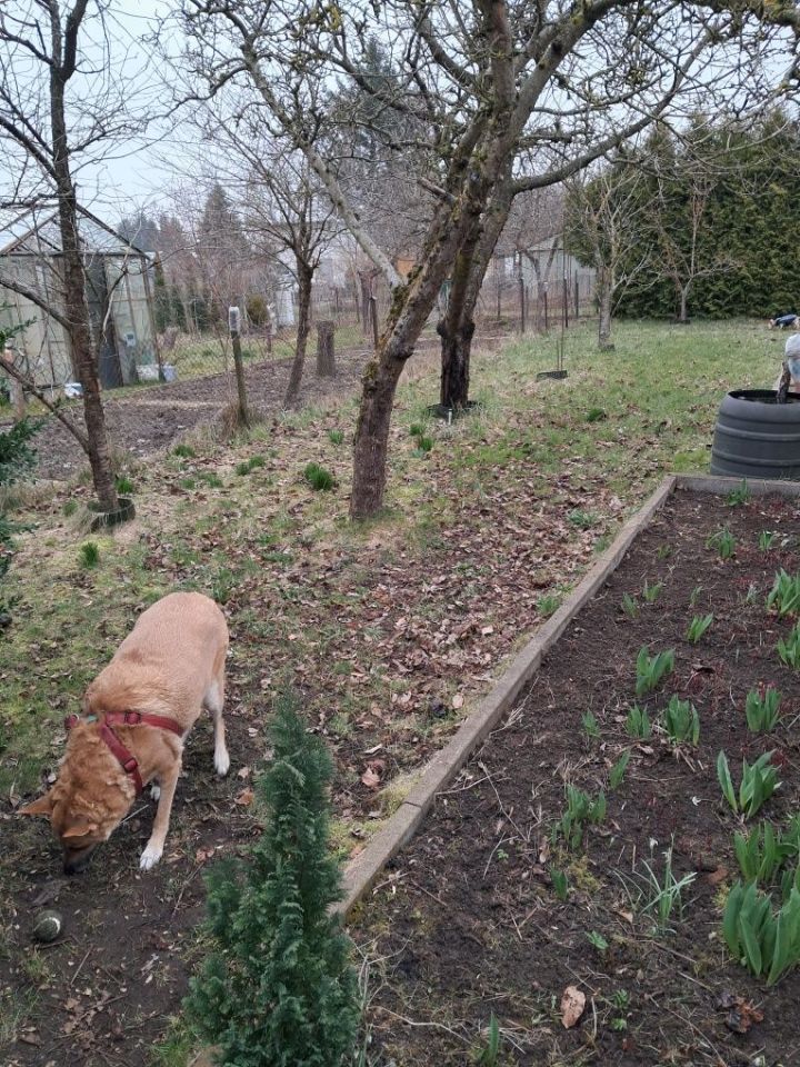 Działka rod Niekłonice. Zdjęcie 8