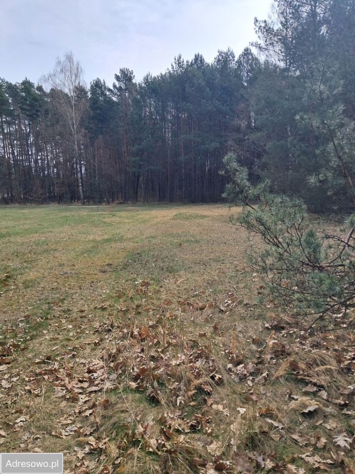 Działka budowlana Kurzelów. Zdjęcie 6