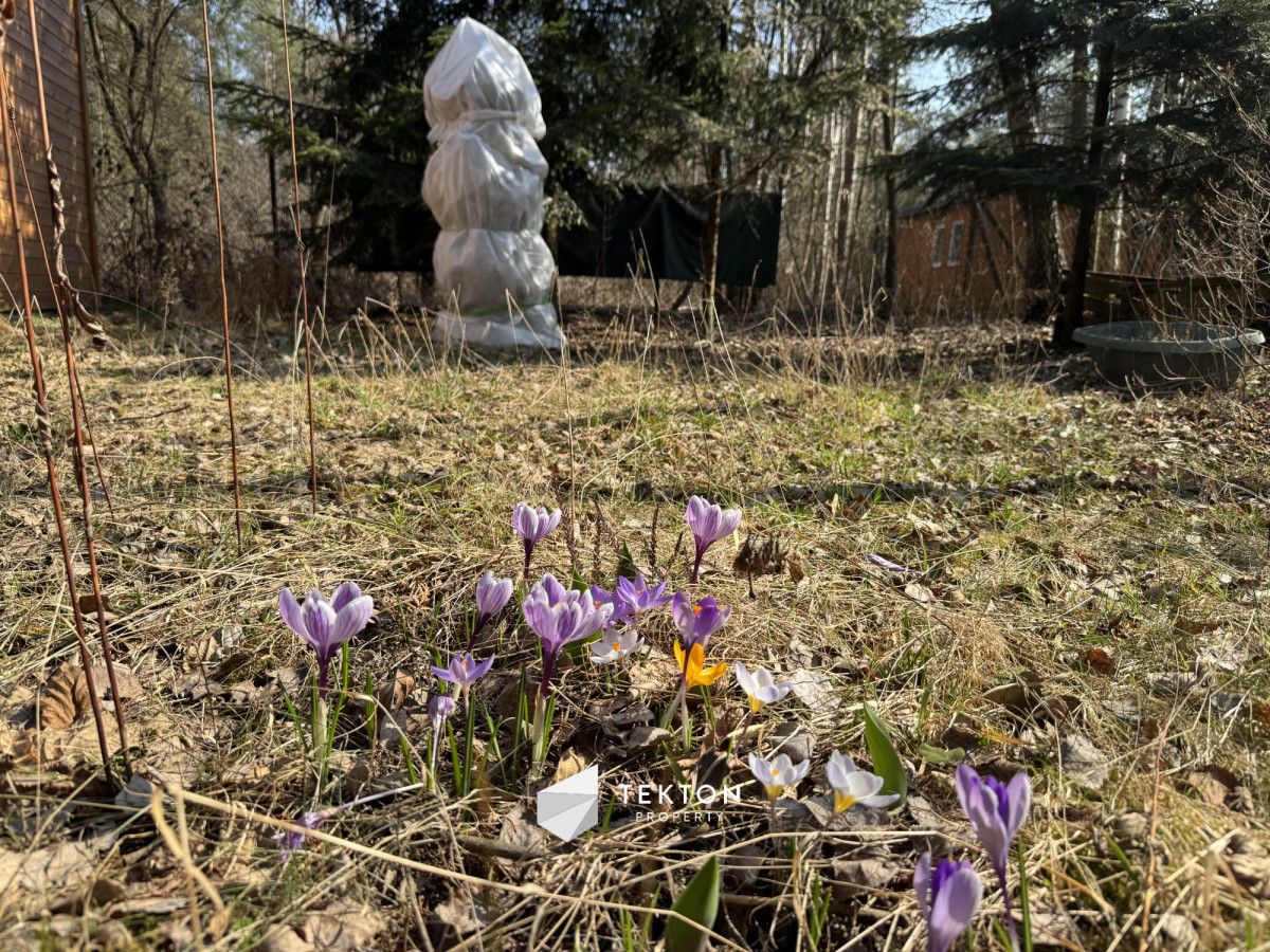 siedlisko, 2 pokoje Puste Łąki, ul. Grzybowa. Zdjęcie 20