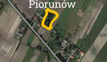 Działka siedliskowa Piorunów