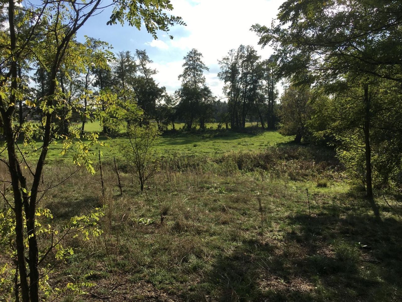 Działka siedliskowa Młyniska. Zdjęcie 6