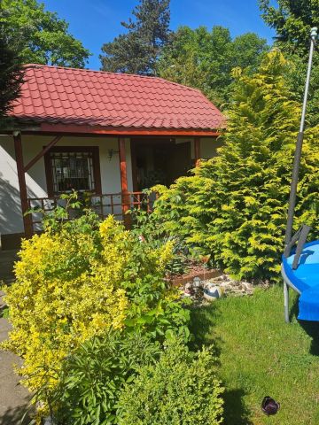 Działka rod Stargard, ul. Spokojna. Zdjęcie 1