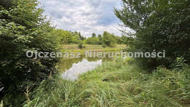 Działka rekreacyjna Bydgoszcz Miedzyń. Zdjęcie 9