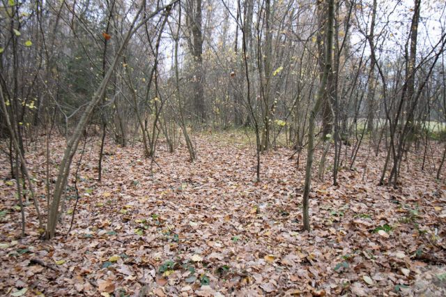 Działka Majdan Sieniawski. Zdjęcie 14