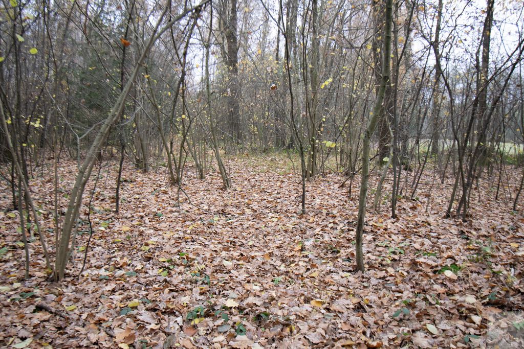 Działka Majdan Sieniawski. Zdjęcie 14