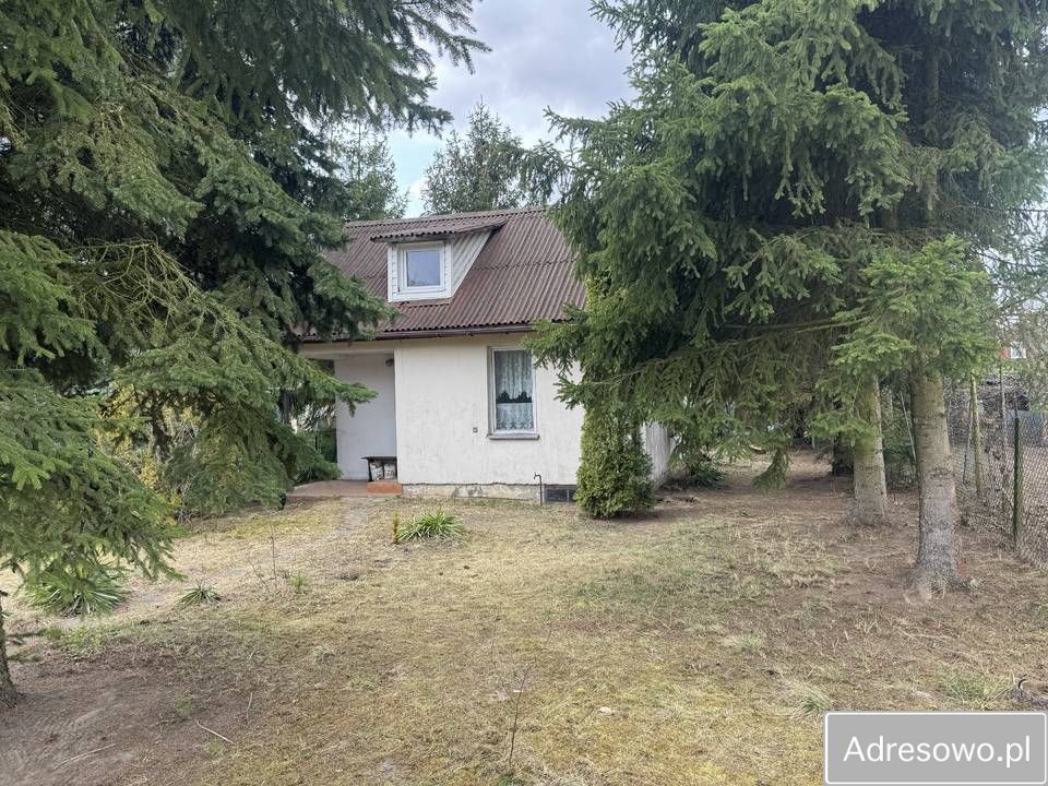 Działka rod Leszno. Zdjęcie 4