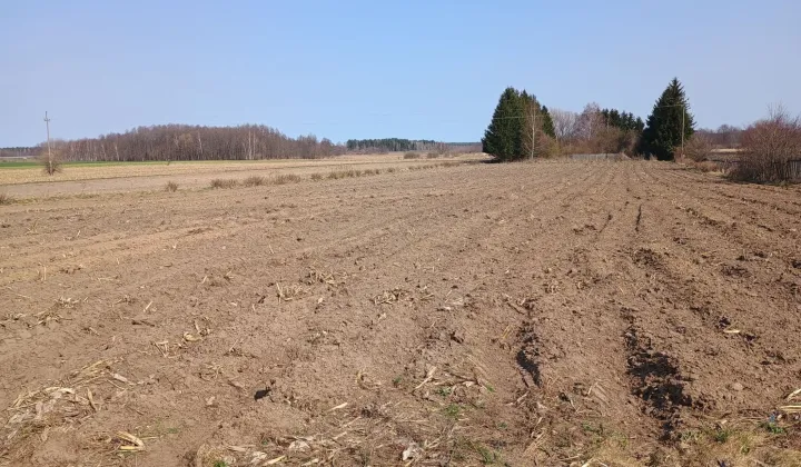 Działka rolna Nowa Wieś Ełcka