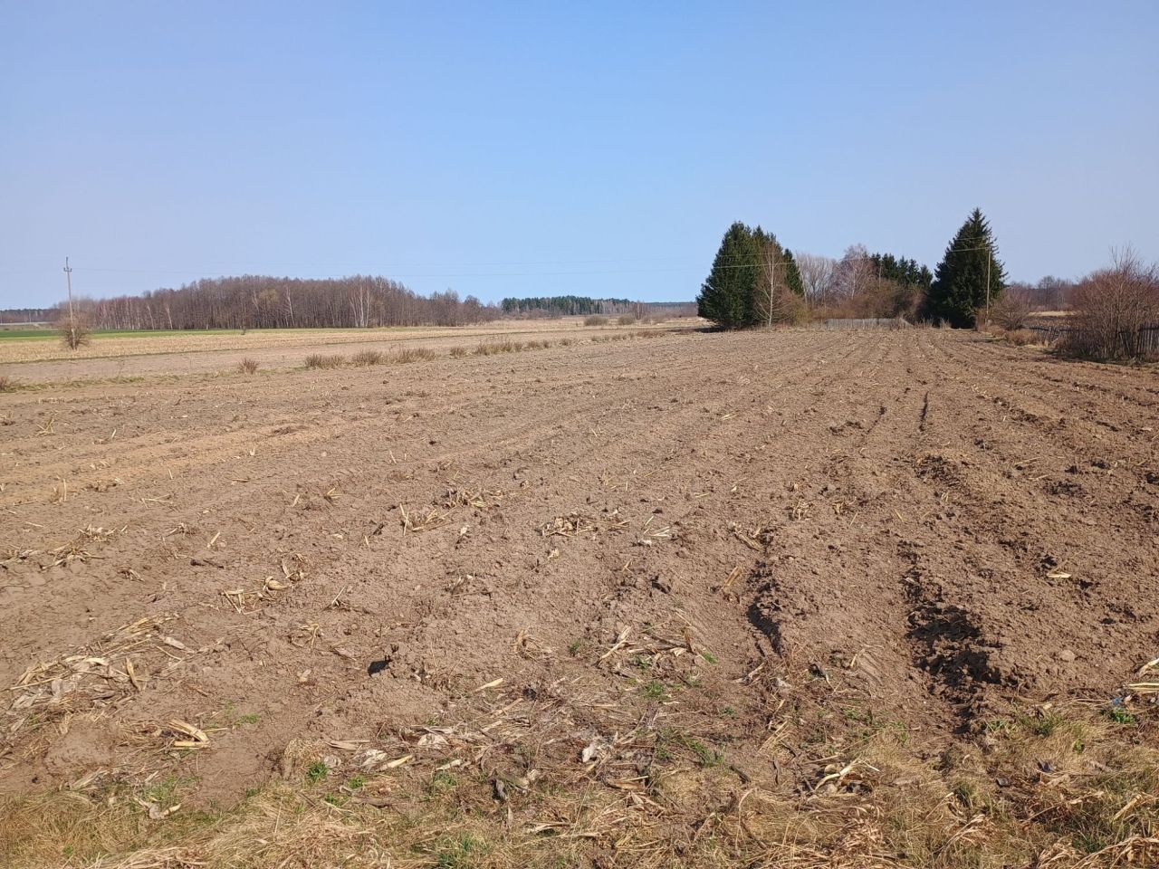 Działka rolna Nowa Wieś Ełcka. Zdjęcie 1