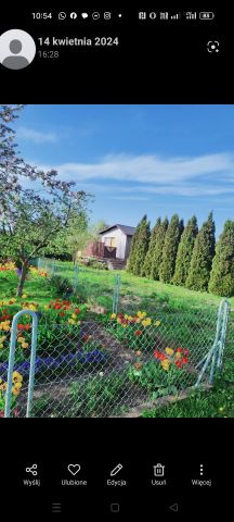 Działka rod Rogówko, Rogówko. Zdjęcie 1