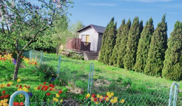 Działka rod Rogówko, Rogówko