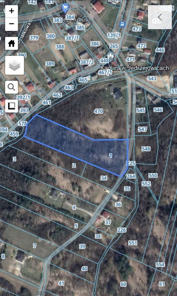 Działka rolno-budowlana Jędrzejowice. Zdjęcie 2