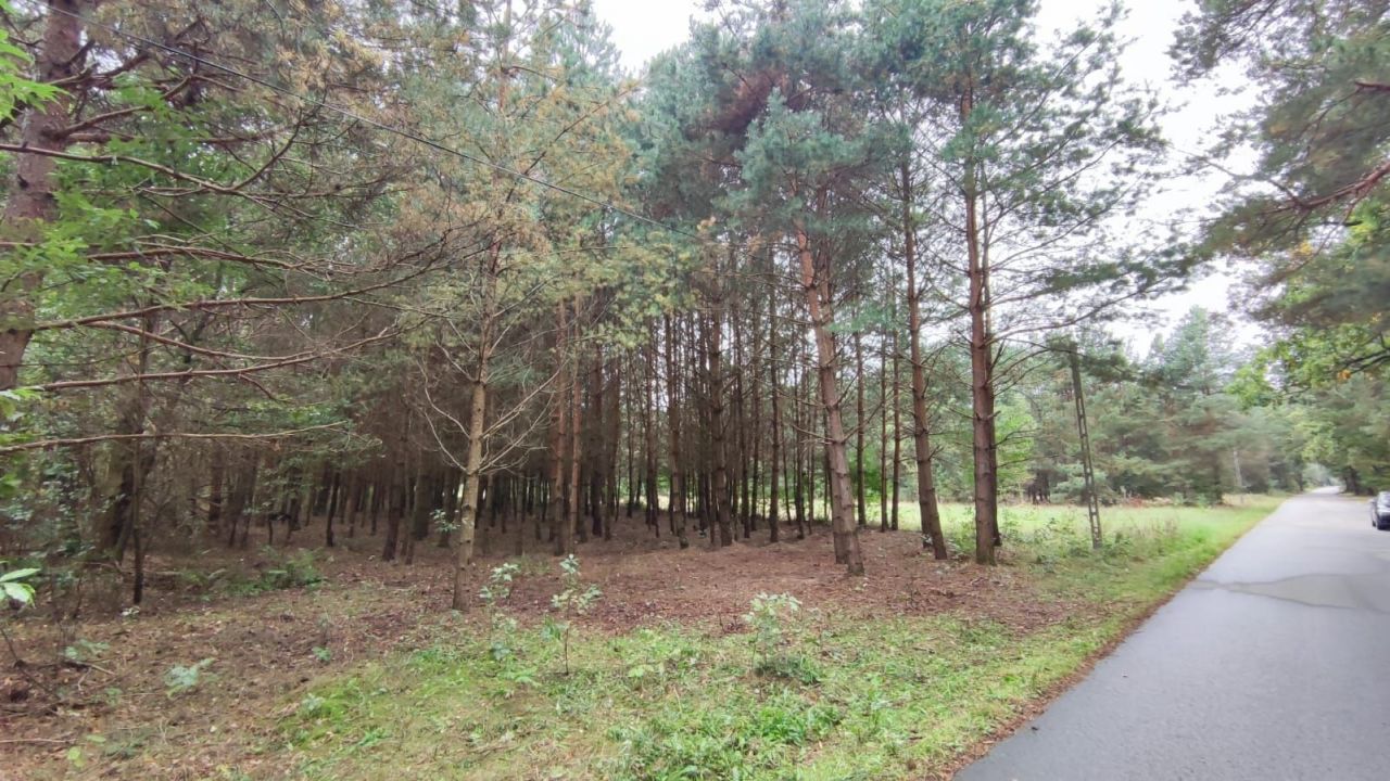 Działka budowlana Żdżarki. Zdjęcie 3