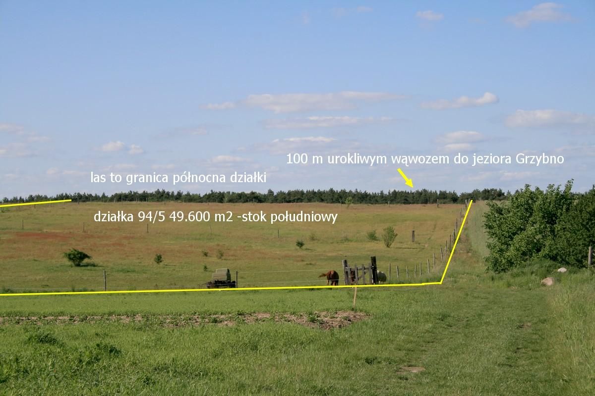 Działka rolna Świniary