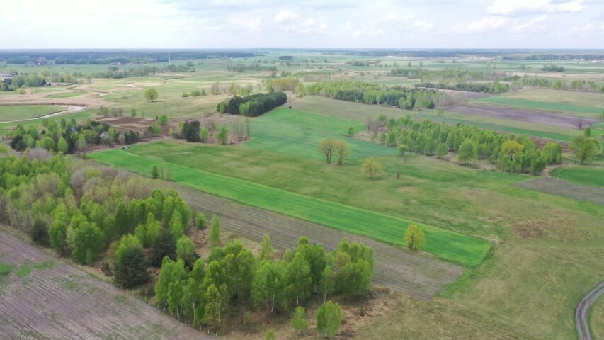 Działka rolno-budowlana Cieciory. Zdjęcie 7