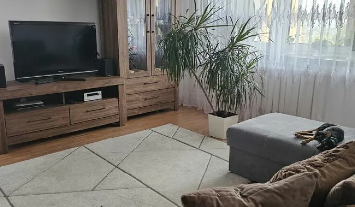Mieszkanie 4-pokojowe Rejowiec, ul. Słoneczna