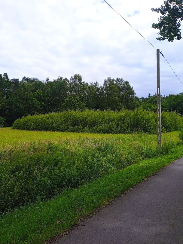 Działka rolna Przebendów. Zdjęcie 2