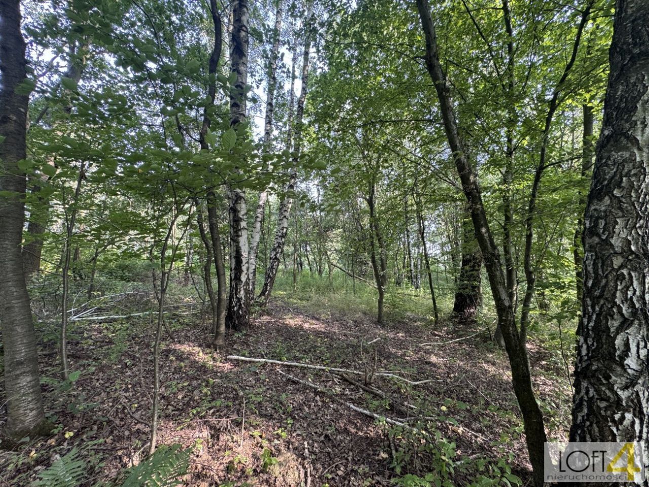 Działka budowlana Radlna. Zdjęcie 7