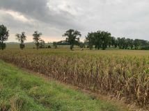 Działka inwestycyjna Kobierzyce. Zdjęcie 3