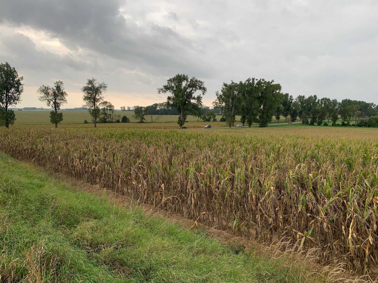 Działka inwestycyjna Kobierzyce. Zdjęcie 4