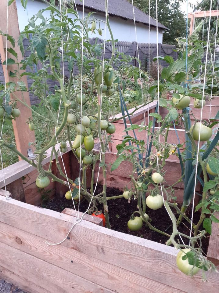 dom wolnostojący, 6 pokoi Mniów Raszówka, ul. Raszówka. Zdjęcie 34