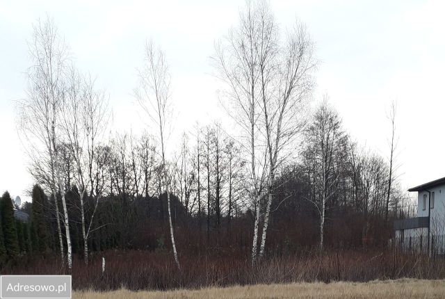 Działka budowlana Góraszka. Zdjęcie 1