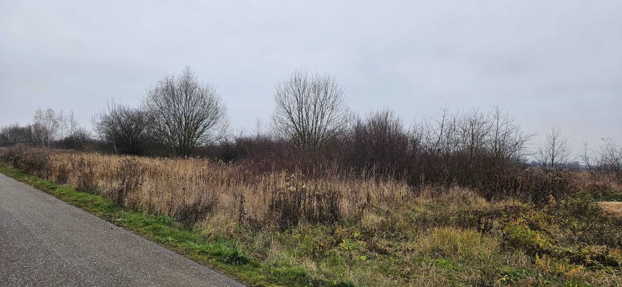 Działka budowlana Złotniki. Zdjęcie 3